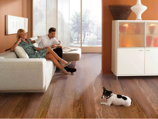 减到宝了！得高新春家装补贴火热进行中！ image