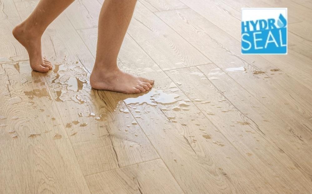 得高quick-step艺术木地板-----踏响生活的韵律 wps图片(1)