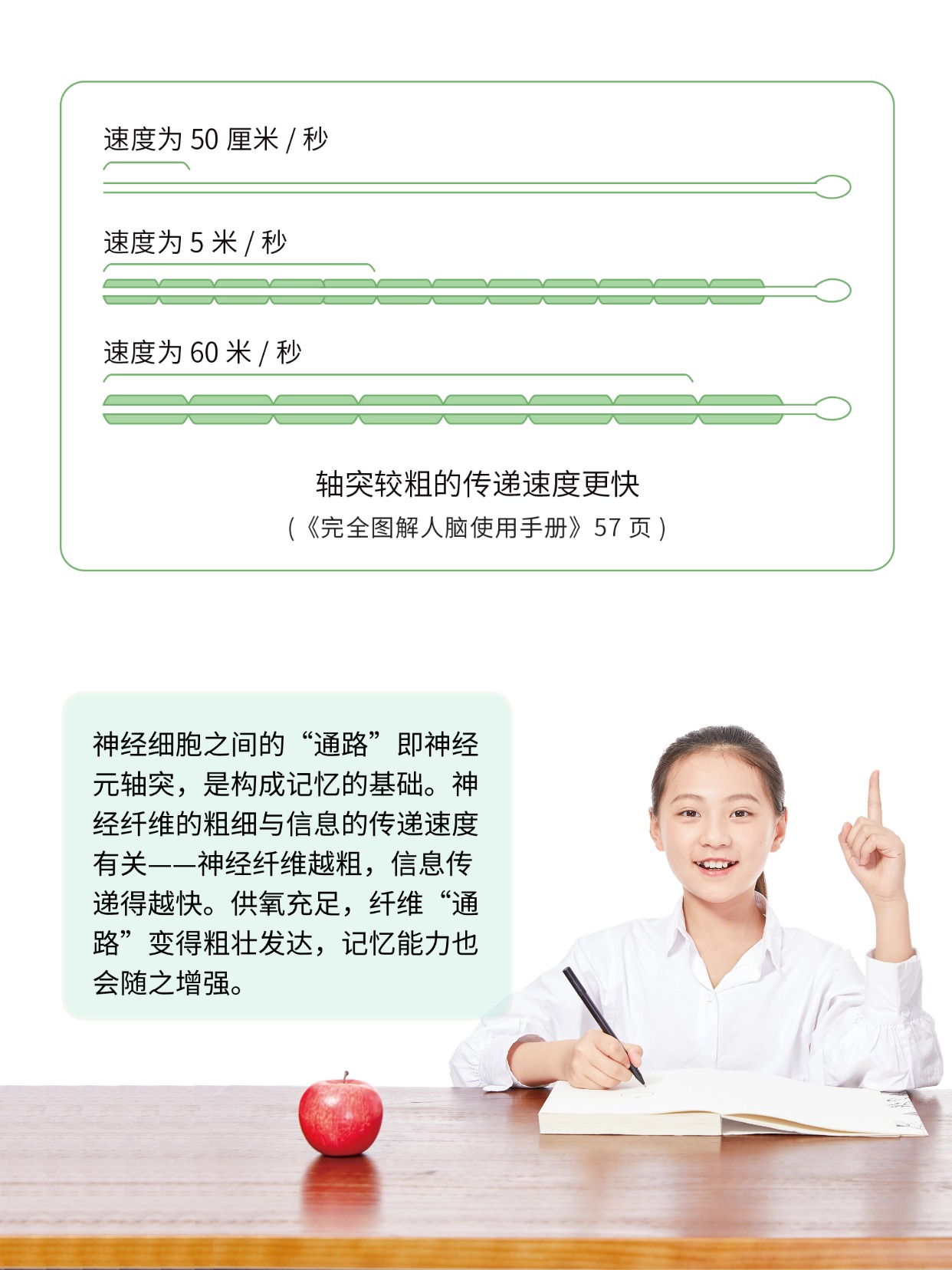 你听说过能补氧的桌子吗？有娃家庭直接抄作业 图片8