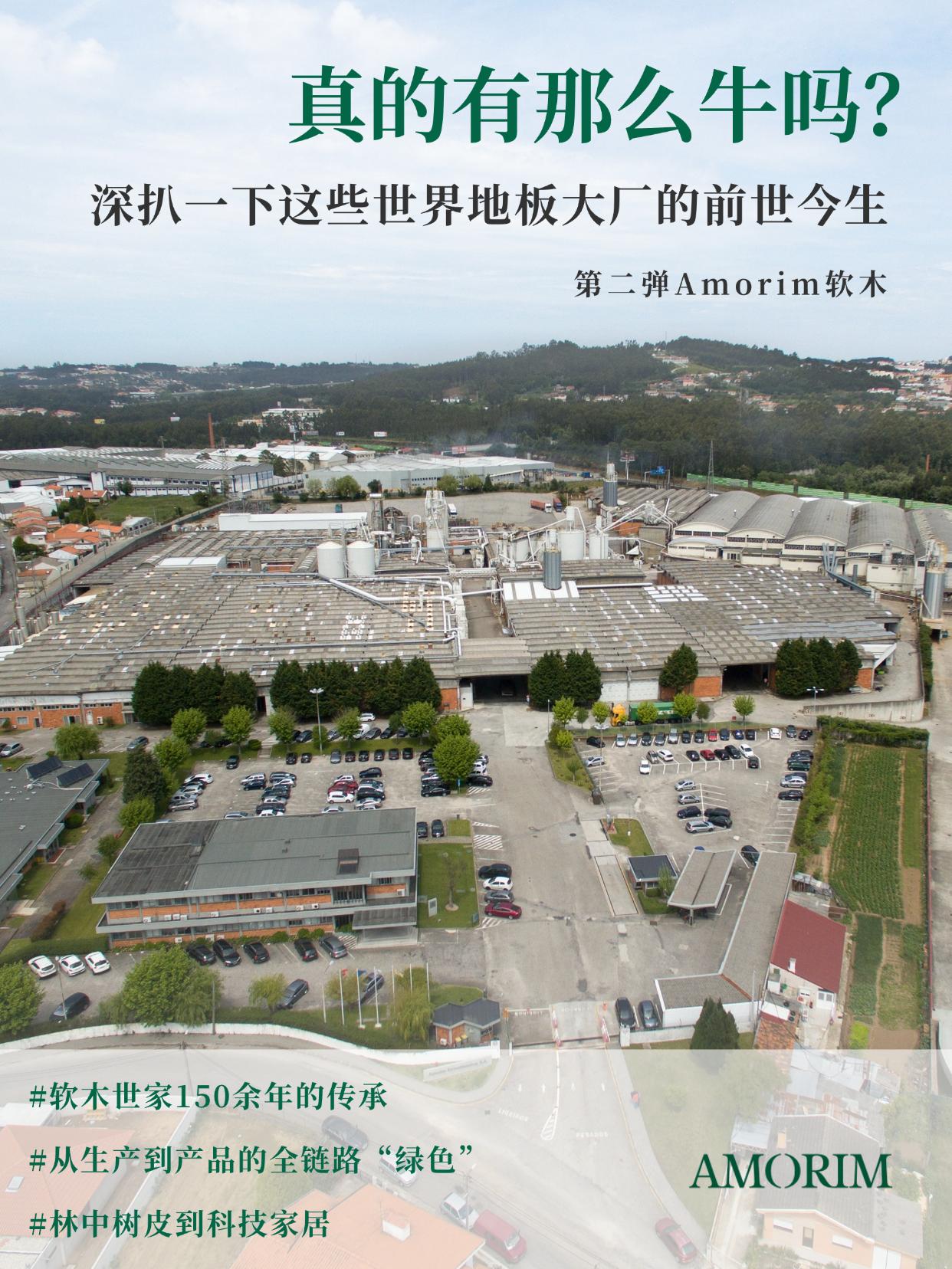 真的有那么牛吗？深扒一下这些世界地板大厂的前世今生 图片4