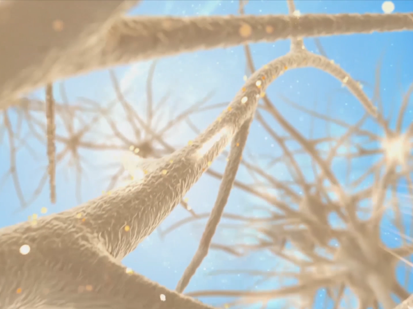 富氧让你的大脑效率从2g变5g！ image1